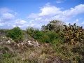 Bunker 360 4